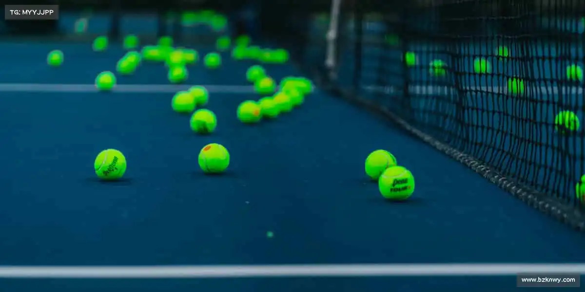 行业领先的理由